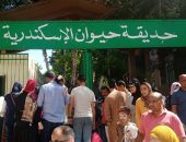 أكثر من 53 ألف زائر لحديقة حيوان الإسكندرية خلال إجازة عيد الأضحى.. صور