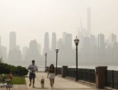 حشرات صغيرة تغزو نيويورك بعد دخان حرائق الغابات الكندية