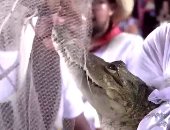 زواج رئيس بلدية سان بيدرو هواميلولا بالمكسيك من أنثى تمساح.. فيديو