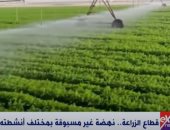 خطة حكومية للاستثمار تشمل 8 تجمعات زراعية بشمال سيناء.. فيديو