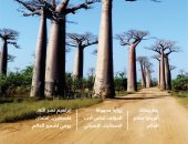 مجلة "الناشر الأسبوعي"  تتناول أثر الثقافة العربية فى مدغشقر
