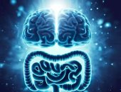 دراسة جديدة.. يمكن التحكم فى الدوائر العصبية الخاصة بالجوع والمزاج والأمراض