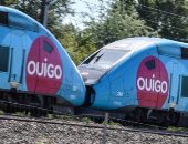تغريم هيئة سكك الحديد الفرنسية بسبب دهس قط تحت عجلات قطار