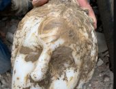 عمال بناء يكتشفون رأسا رخاميا تاريخيا وسط مدينة روما التراثية