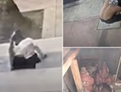 العثور على رجل مشرد يعيش فى قبو تحت الأرض خارج متحف لوس أنجلوس.. فيديو