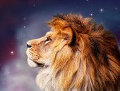 4 أخطاء لا ترتكبها مع مواليد برج الأسد لتحافظ على علاقتك بهم