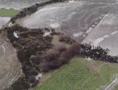 القناة الوثائقية تعرض فيلما بعنوان "ما وراء صناعة الألبان"