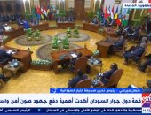 كاتب سودانى: الثقل المصرى جعل دول جوار السودان تتعامل مع الأزمة بمنتهى الحماس
