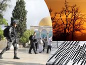 باختصار.. أهم الأخبار العربية والعالمية حتى الظهيرة.. الاحتلال الإسرائيلى يعتقل 9 فلسطينيين من الضفة الغربية.. زلزال بقوة 6.5 درجة على مقياس ريختر يهز الأرجنتين.. فرنسا تتعرض لموجة حر شديدة تصل ذروتها غدا