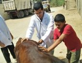 جامعة الزقازيق توجه قافلة بيطرية لقرية العباسة مركز أبو حماد بالشرقية