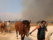 السلطات الأمريكية تأمر بسرعة إجلاء آلاف الأشخاص بسبب حرائق الغابات