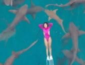 شهد غواصة سورية تخوض مغامرة السباحة وسط أسماك القرش بجزر المالديف.. فيديو