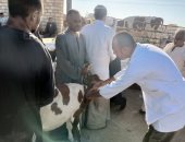 مدير بيطرى الأقصر يشارك بدورة لتدريب ولجان بيطرية لتوعية مربي الحيوانات.. صور