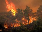 تونس والجزائر تشاركان فى محاكاة عملية بيضاء لمجابهة حرائق الغابات