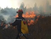 إسبانيا تعلن تينيريفى منطقة "كوارث" بسبب حريق قضى على 15 ألف هكتار