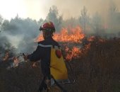ارتفاع عدد حرائق الغابات فى المكسيك إلى 100 حريق نشط بسبب الجفاف