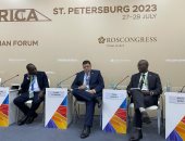 رئيس هيئة المحطات النووية يدعو للتعاون فى المجال النووي بين الدول الأفريقية