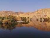 "سالوجا وغزال".. محمية طبيعية وجزيرة ساحرة وسط النيل بأسوان (صور)