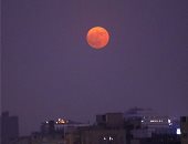 راقبوا السماء.. القمر يقترن بالنجم الأحمر العملاق "قلب العقرب" فى مشهد بديع غدا