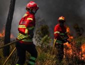 أكثر من ألف عنصر إطفاء يحاولون السيطرة على حرائق وسط غابات البرتغال