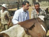 جامعة الزقازيق توجه قافلة بيطرية لقرية كفر أبو جبل في الشرقية