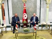 شكرى يؤكد دعم مصر لجهود قيس سعيد الرامية لبناء مستقبل أفضل للشعب التونسى 