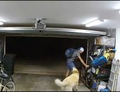 صاحب الحرامى.. لص بأمريكا يلعب مع كلب عائلة أثناء سرقتهم.. فيديو