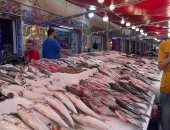 أسعار الأسماك في مصر اليوم السبت بالأسواق.. البلطي بـ62 جنيهًا "جملة"