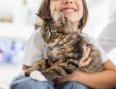  اليوم العالمى للقطط.. 5 نصائح تجعل قطتك سعيدة وتشعر بالأمان