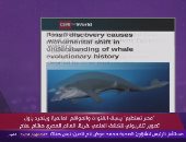 "اليوم": الإعلام العالمى تحدث عن انفراد "مصر تستطيع" باكتشاف حفرية الحوت توت سيتس