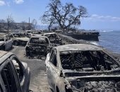 وكالة الأرصاد الأمريكية تحذر من تجدد الحرائق فى هاواى بسبب الرياح العاصفة