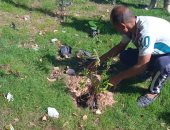 محافظ الإسكندرية: زراعة نحو 213 ألف شجرة مثمرة وغير مثمرة بأحياء المحافظة