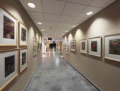 معرض "فاروق شحاتة".. 100 لوحة فى فن الطباعة الفنية بمكتبة الإسكندرية 