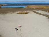 الجوع يهدد أمريكا اللاتينية بسبب جفاف بحيرة تيتيكاكا.. بوليفيا تعلن الطوارئ بعد انخفاض منسوب المياه.. صحيفة: أكبر بحيرة صالحة للملاحة ومصدر حياة للقارة.. وظاهرة "نينو" تؤدى لانخفاض إنتاج الزراعة والطاقة