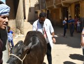"طب بيطرى سوهاج" تنظم قافلة لقرية ادفا وتعالج 655 حالة بالمجان.. صور