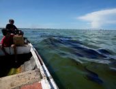انسكابات نفطية ونفايات سامة.. تلوث بحيرة ماراكايبو يصيب فنزويلا بالقلق