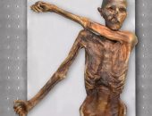 دراسة: رجل الجليد عاش قبل 5300 سنة وكان أصلعا وبدينا