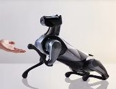 "CyberDog 2" كلب آلى مزود بالذكاء الاصطناعى يمكنه رقص الباليه.. صور