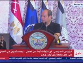 الرئيس السيسي: حجم الاستهلاك المحلى للقمح فى العام يصل لـ20 مليون طن