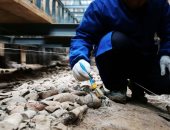 الصينيون ضحوا بالحيوانات قديما.. اكتشاف بقايا دب عملاق بمقبرة الإمبراطور وين