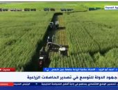 أحمد أبو اليزيد: الدولة ستصدر 6.5 مليون طن زراعات طازجة بـ3.4 مليار دولار العام الجارى