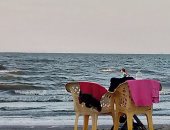 طقس بورسعيد اليوم.. اعتدال فى درجات الحرارة والملاحة تسير بشكل طبيعى