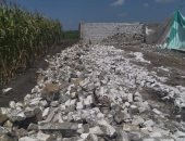 إزالة حالات تعدٍ على الأراضى الزراعية فى 3 مراكز بكفر الشيخ