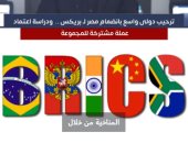 مصر فى بريكس.. إشادات دولية بانضمام مصر للمجموعة بداية من 2024.. فيديو