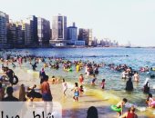 رفع الرايات الخضراء على كل شواطئ الإسكندرية