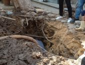 مياه الجيزة: شجرة تعيق أعمال إصلاح خط مياه بشارع الأنصار فى الدقى "فيديو"