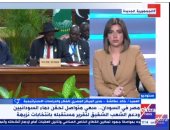العميد خالد عكاشة: هناك نقلة نوعية فى العلاقات المصرية الأفريقية