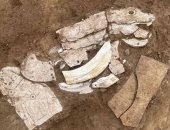 اكتشاف زخارف تنين قديم يلقى الضوء على ثقافة العصر الحجرى الحديث  