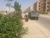 جهاز الشروق: حملات مكثفة على أحياء المدينة لرعاية وصيانة المسطحات الخضراء