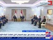 خبير لـ"إكسترا نيوز": مصر أول دولة تقدمت بخطوات عملية لحل الأزمة السودانية